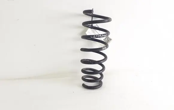 Front coil spring