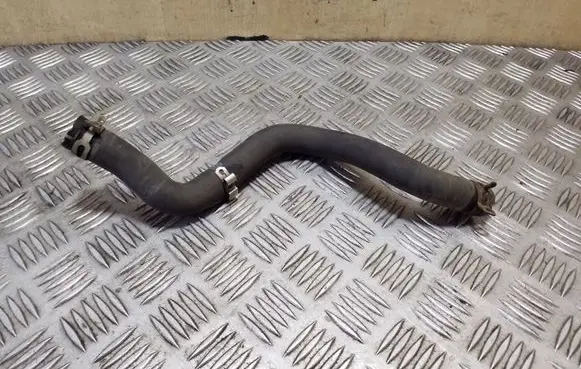 Dacia Sandero Engine coolant pipe/hose 924009088R