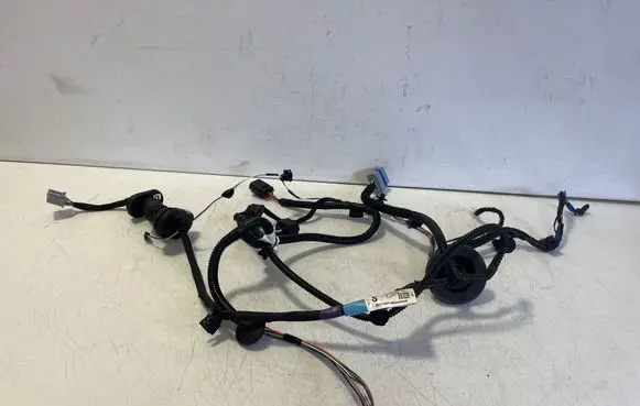 Tesla Model S Rear door wiring loom 1004425