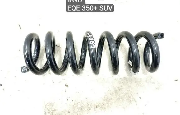 Rear coil spring