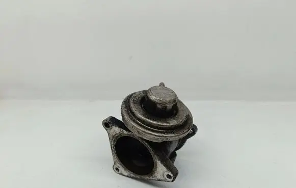 Volkswagen Jetta V EGR valve 038129637D