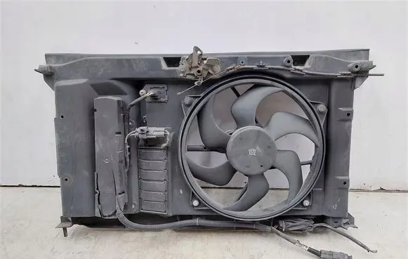 Peugeot 307 Radiator set 