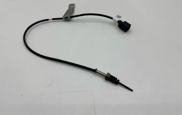 Ford Ecosport Sensor JN1512B591AC