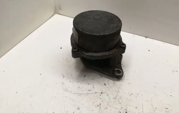 Renault Trafic II (X83) Vacuum pump 8200072985