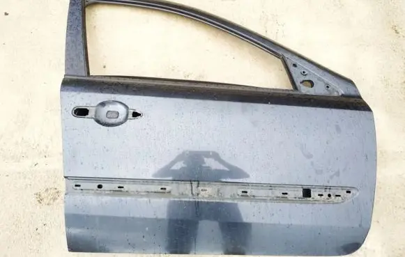 Renault Laguna II Front door pilkos