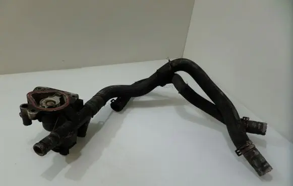 Thermostat/thermostat housing