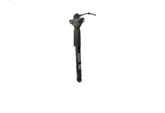 Audi e-tron Rear shock absorber/damper 4KE616025E