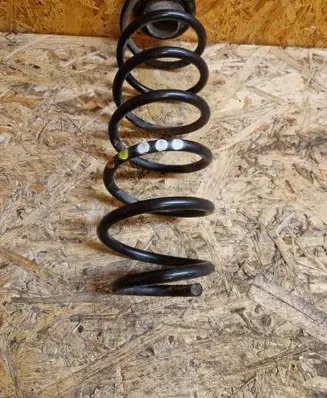Rear coil spring