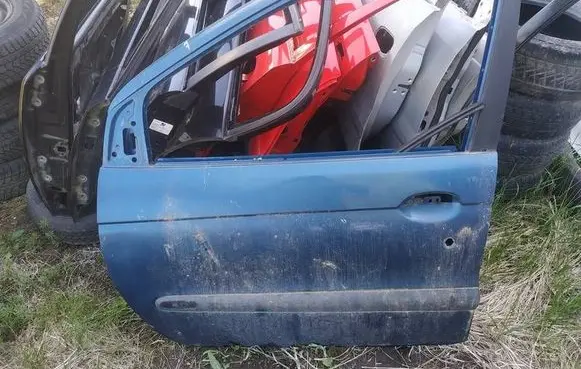 Renault Scenic I Front door melynos