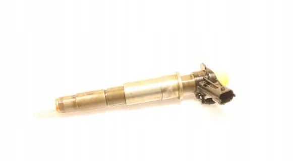 Renault Laguna III Fuel injector 0445115007