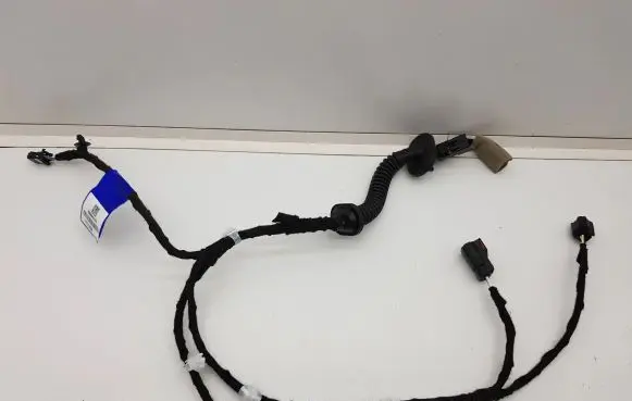 Front door wiring loom