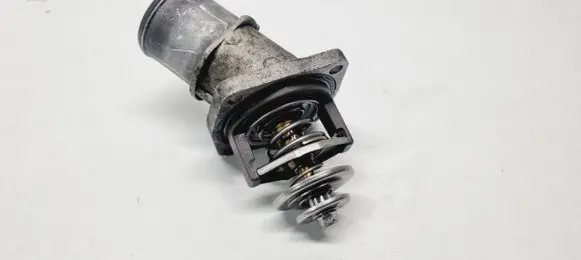 Thermostat/thermostat housing
