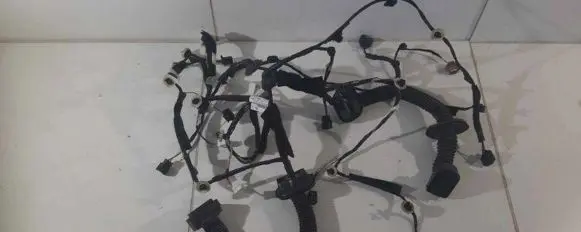 Renault Zoe Other wiring loom 241248426R 154805 04400