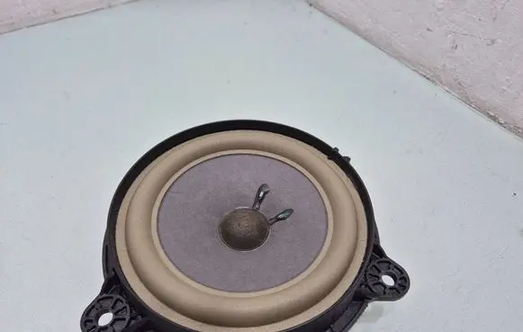 Nissan Murano Z52 Front door speaker 281569NA0A