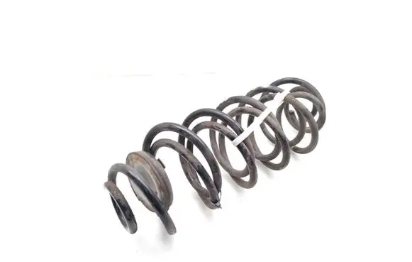 Rear coil spring