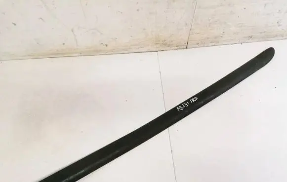 Front door trim (molding)
