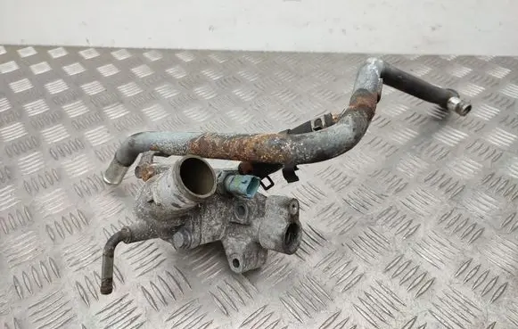 Thermostat/thermostat housing