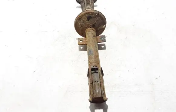 Dacia Duster Rear shock absorber/damper 562103964R