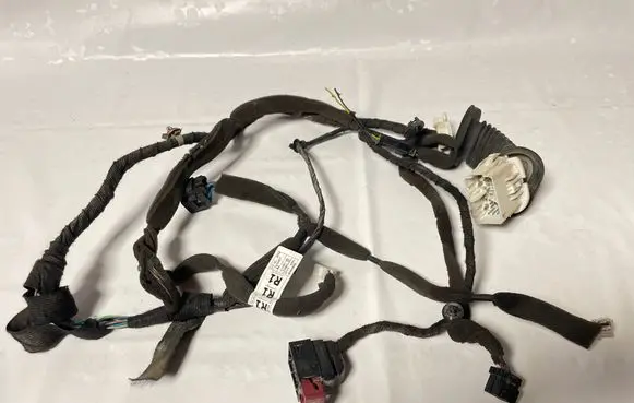 Chevrolet Captiva Front door wiring loom 613556841