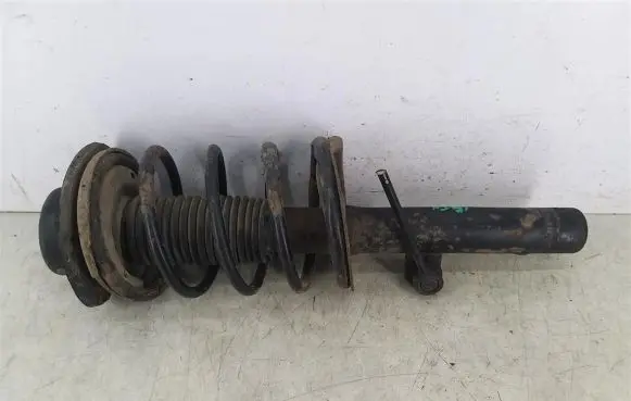 Peugeot 206 Front shock absorber with coil spring