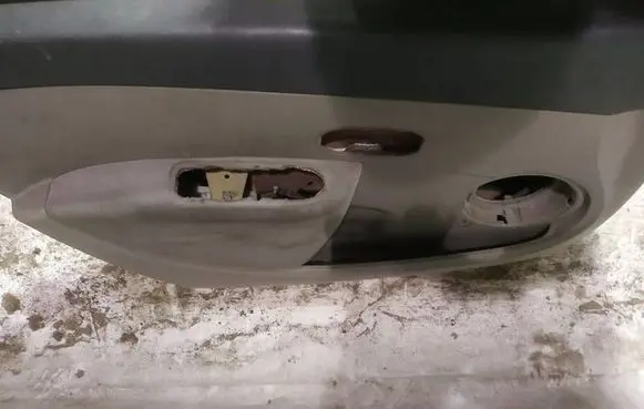 Renault Clio III Front door card panel trim 
