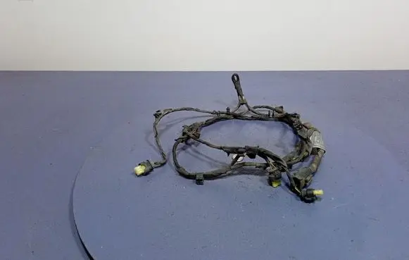 BMW 5 F10 F11 Other wiring loom 9218998
