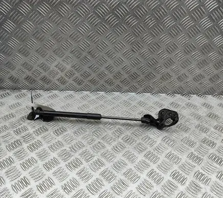 Tesla Model 3 Highland Front bonnet/hood damper/strut 164598900A