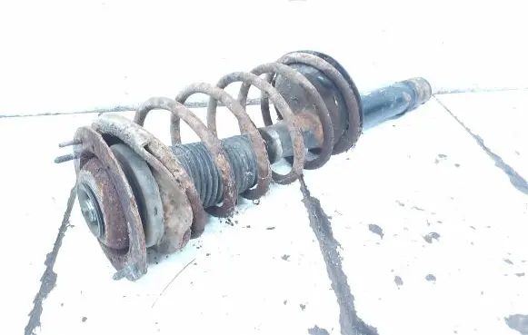 Peugeot 405 Front shock absorber with coil spring 633829
