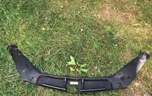 Engine bonnet/hood lock trim molding