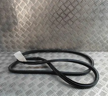 Nissan 370Z Rubber seal front coupe door 808311EA0A