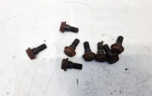 Nuts/bolts