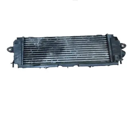 Renault Trafic II (X83) Intercooler radiator IA1422 8200411160 933854162