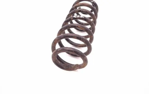 Rear coil spring
