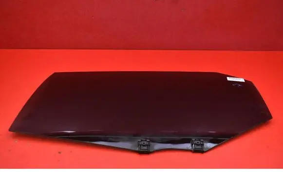 Rear door window glass