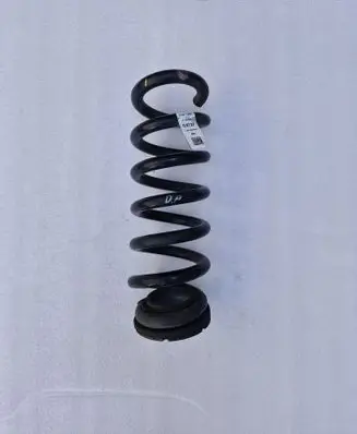 Rear coil spring