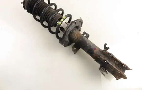 Ford B-MAX Front shock absorber with coil spring AP3118K001AE