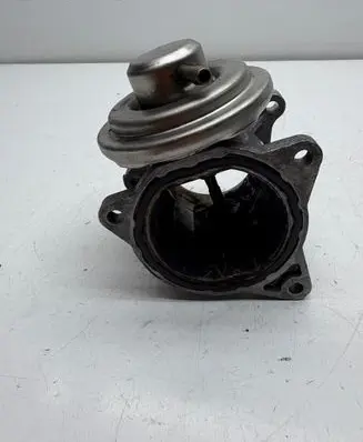 Volkswagen PASSAT B6 EGR valve 038131501AF 138602061