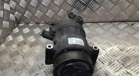 Skoda Octavia Mk2 (1Z) Air conditioning (A/C) compressor (pump) 5N0820803C 041397091B4