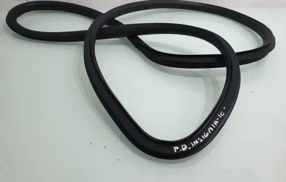 Opel Insignia A Front door rubber seal