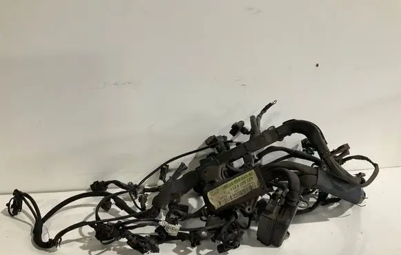Engine installation wiring loom