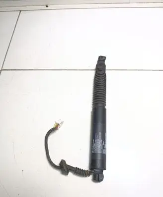 Tailgate/trunk strut/damper