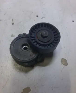 Peugeot 407 Alternator belt tensioner 