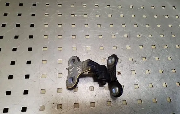 Volvo V50 Front door lower hinge 