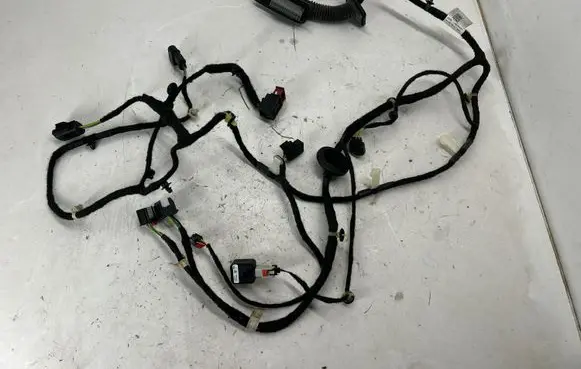 Front door wiring loom