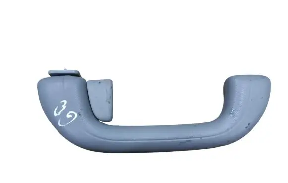 Hyundai Santa Fe Rear interior roof grab handle