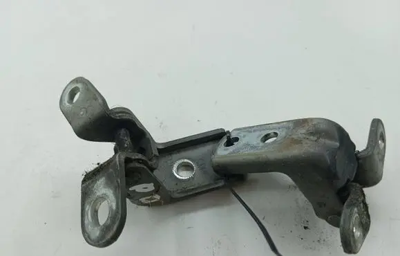 Hyundai Santa Fe Front door hinge set 