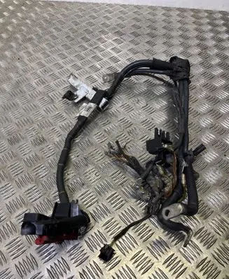 Audi A8 S8 D4 4H Wires (generator/alternator) 4H0971224BA 0052013 02052013