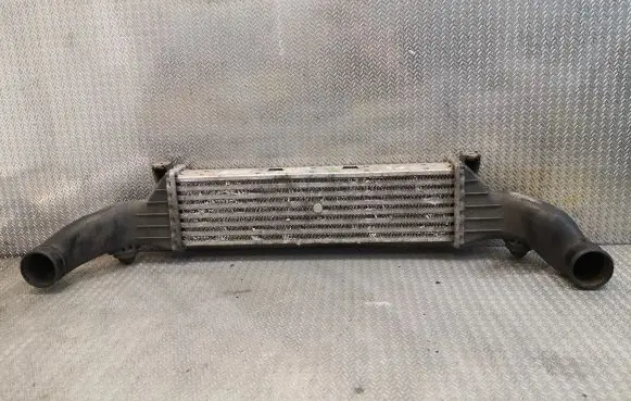 Mercedes-Benz C W202 Intercooler radiator 2025001100