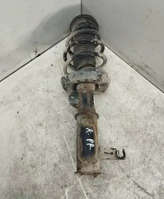 Opel Insignia A Front shock absorber with coil spring 13347485 E4622501 357327926