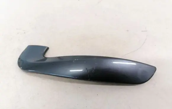Renault Laguna III Other interior part 809600009R